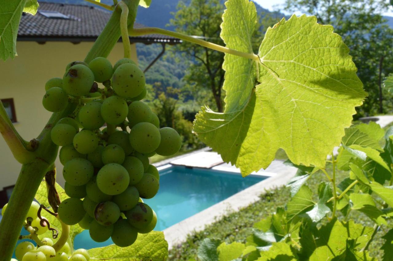 Holiday Home Jelovcerjeva Idrija pri Baci Eksteriør bilde